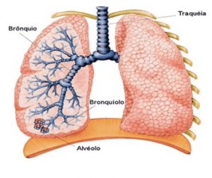 Bronquiolite: a doença do outono! – Drª Karina Soares – Pediatra